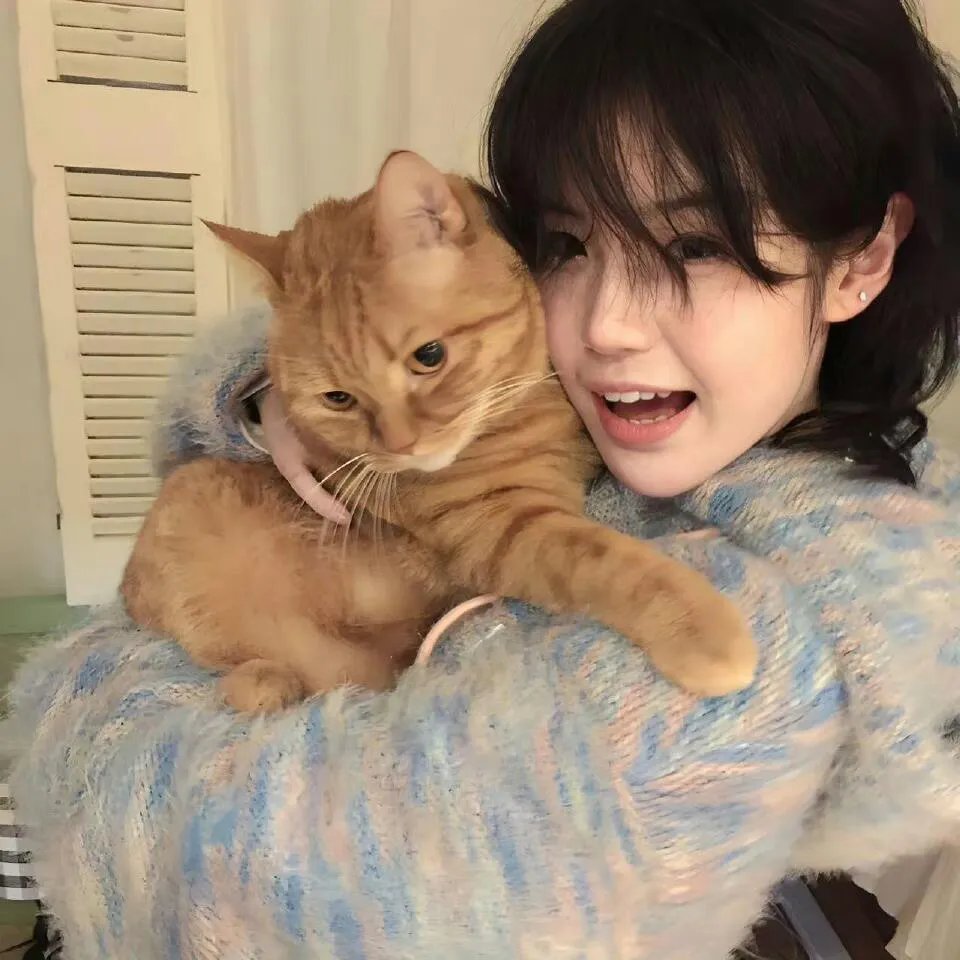藏獒多吉